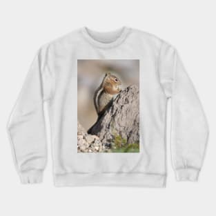 Cascade golden-mantled ground squirrel Crewneck Sweatshirt